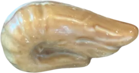 zeevrucht-marbre-praline-pralines-zoet-genot-shop-oostduinkerke-4