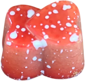kers-pralines-zoet-genot-shop-oostduinkerke-1